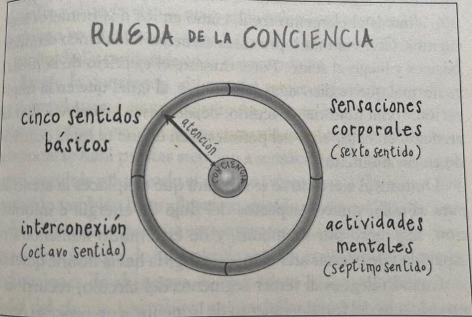 LA RUEDA DE LA CONCIENCIA